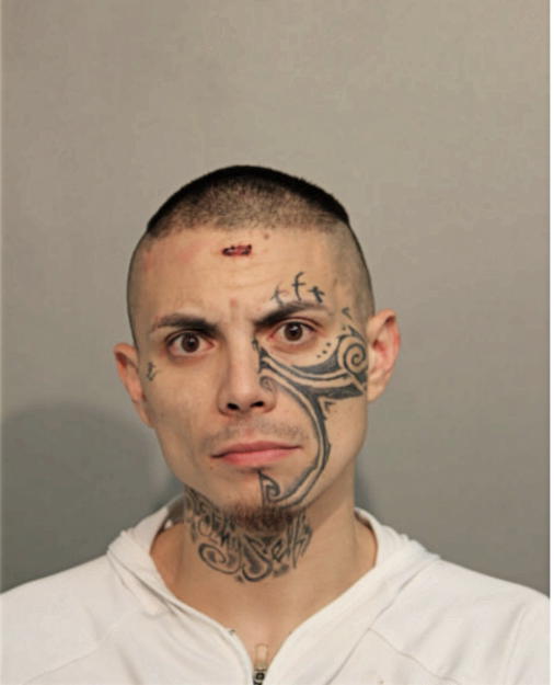 RICHARD J FRALEY, Cook County, Illinois