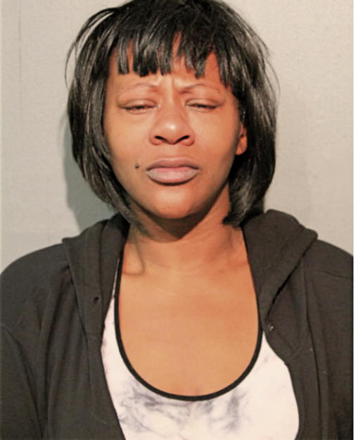 SHERRIE M HAYES, Cook County, Illinois