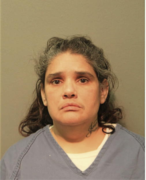 MARISOL INGRAM, Cook County, Illinois