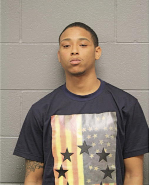 MITCHELL R JENKINS, Cook County, Illinois