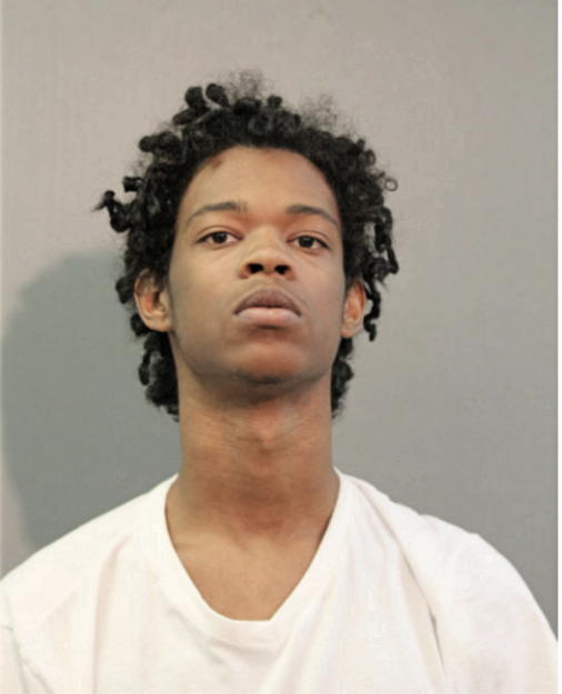 DONOVAN G JOHNS, Cook County, Illinois