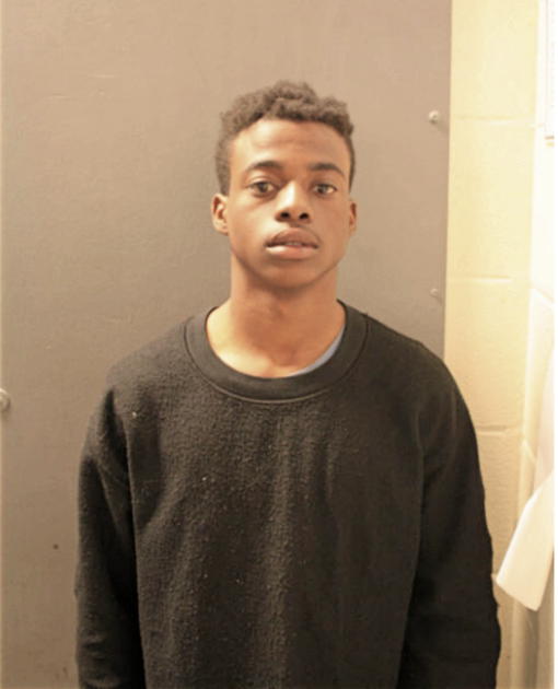 COURTNEY M LEWIS, Cook County, Illinois