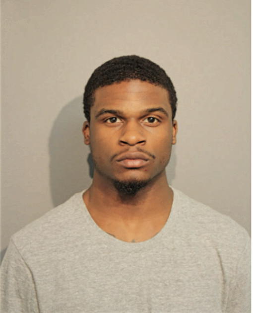 JONATHAN E LOWE, Cook County, Illinois