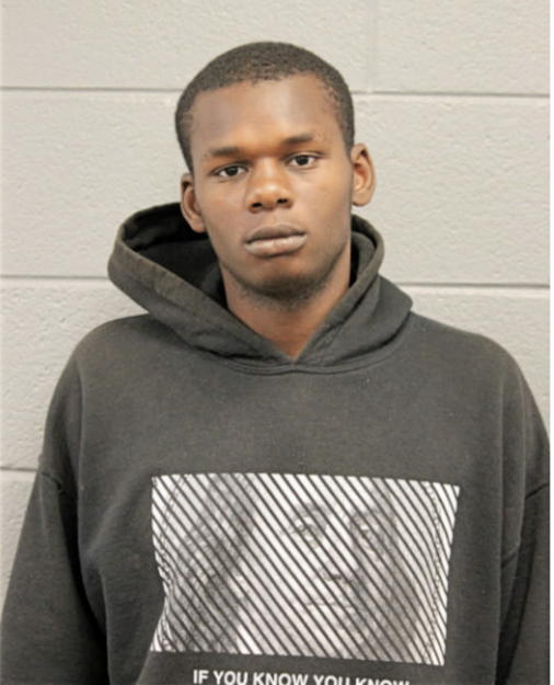 TERRY M LOWE, Cook County, Illinois
