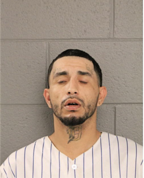 MICAHEL J LOZADA, Cook County, Illinois