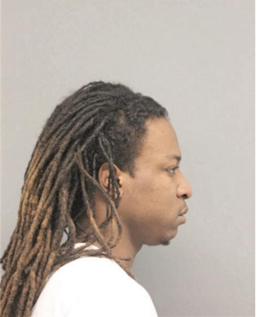 CHRISTOPHER E LYON, Cook County, Illinois