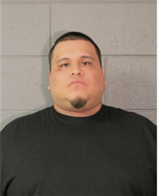 AARON MEDA, Cook County, Illinois