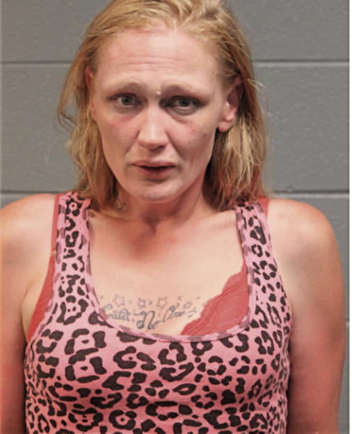 JESSICA MENNING, Cook County, Illinois