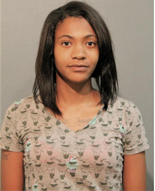 LISA NELSON, Cook County, Illinois