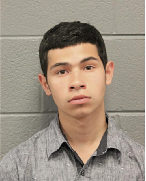 DAVID F PARDO, Cook County, Illinois