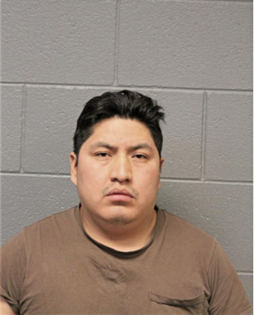 LUIS QUITUISACA, Cook County, Illinois