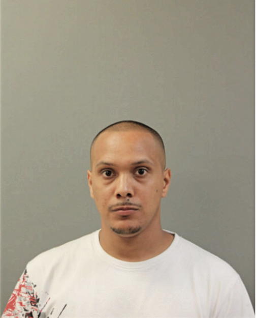 ALEXANDER F RIVERA, Cook County, Illinois