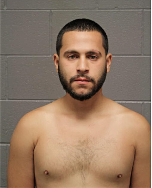 ANTONIO A SANCHEZ, Cook County, Illinois