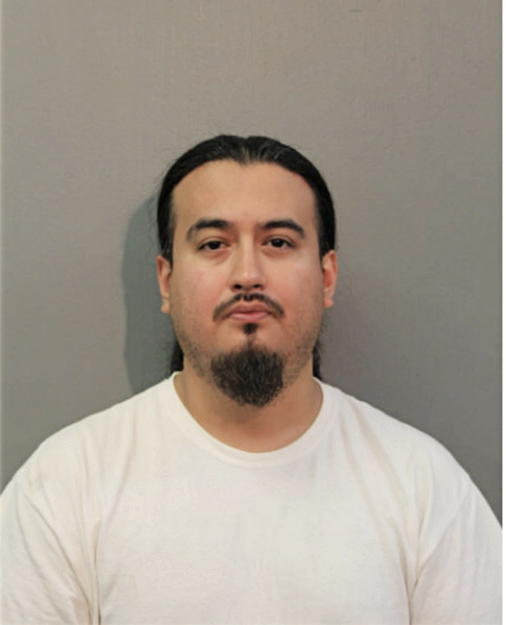 LUIS J SANCHEZ, Cook County, Illinois