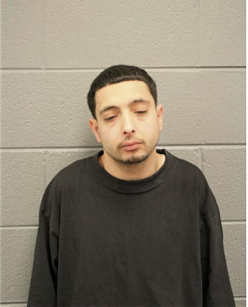 ADNAN A SHUKAIR, Cook County, Illinois