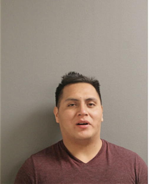FREDI SICHIQUE, Cook County, Illinois