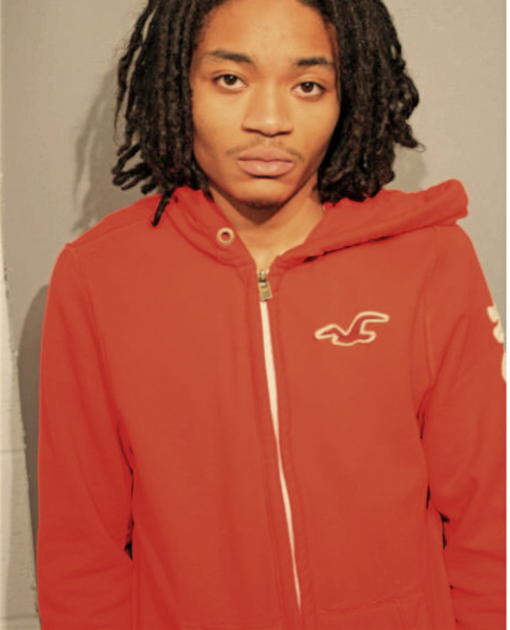 REGINALD E WILSON, Cook County, Illinois
