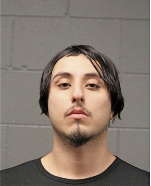 LUIS DE ANDA, Cook County, Illinois