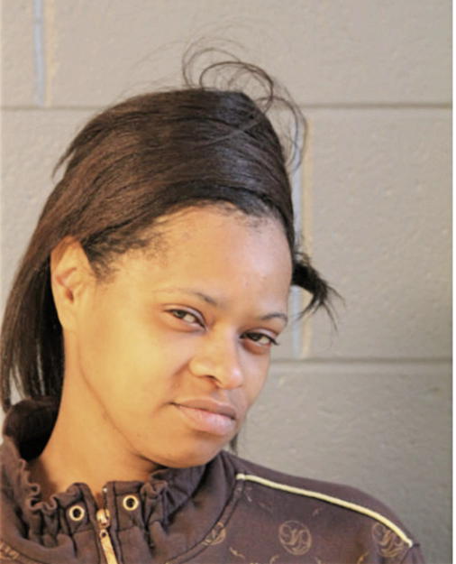 SHANITA J ANDERSON, Cook County, Illinois