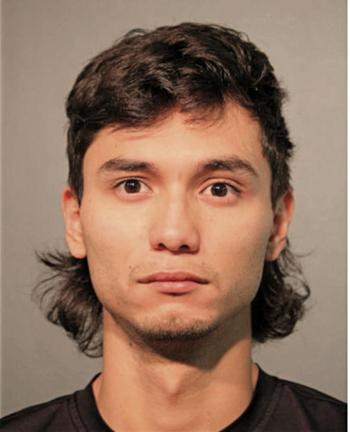 ISRAEL ARAUJO, Cook County, Illinois