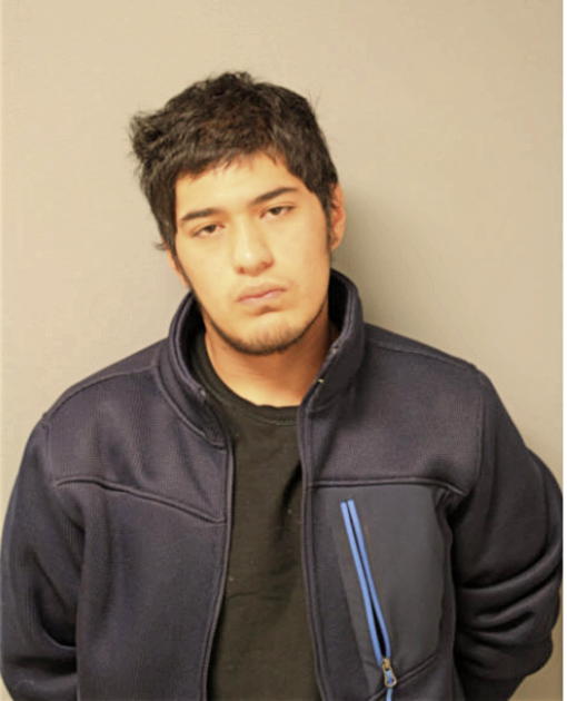 LUCIANO AVILES-MONTES, Cook County, Illinois