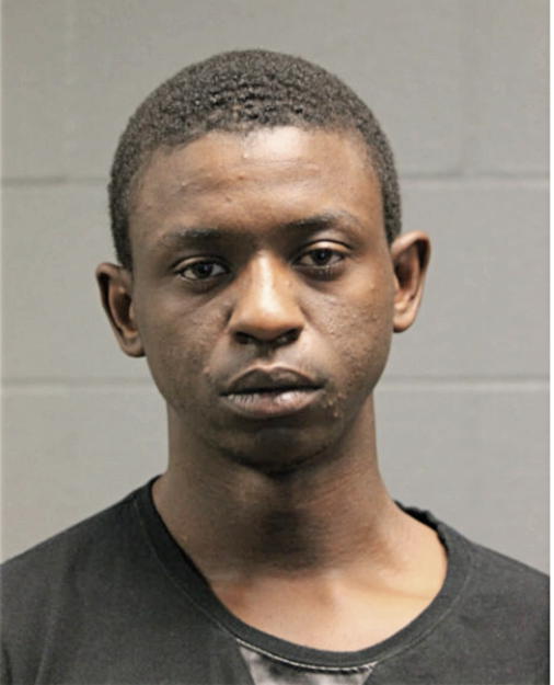 NORMAN J BRADLEY, Cook County, Illinois