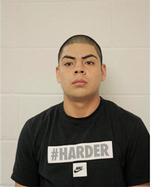 DANIEL APARICITO BRITO, Cook County, Illinois