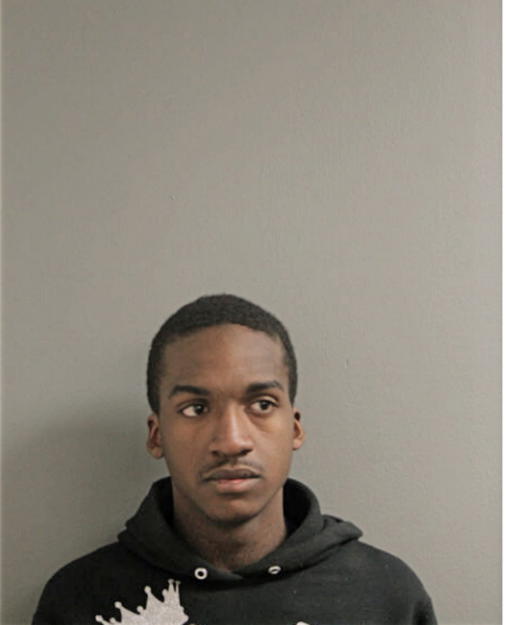 RICARDO T BRYANT, Cook County, Illinois