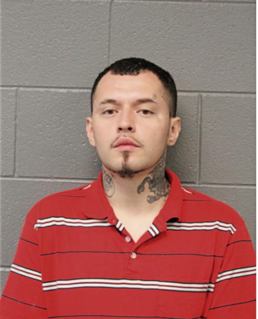 LUIS BURCIAGE, Cook County, Illinois