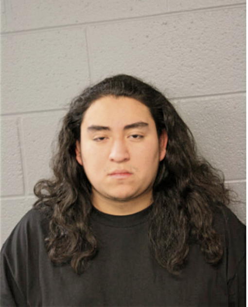 GABRIEL S CAMACHO, Cook County, Illinois