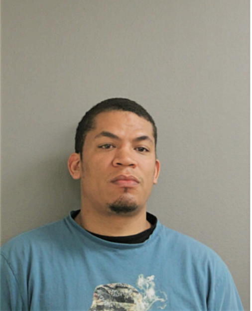 LUIS A DEJESUS, Cook County, Illinois