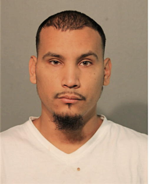ERIC J ESTRADA, Cook County, Illinois