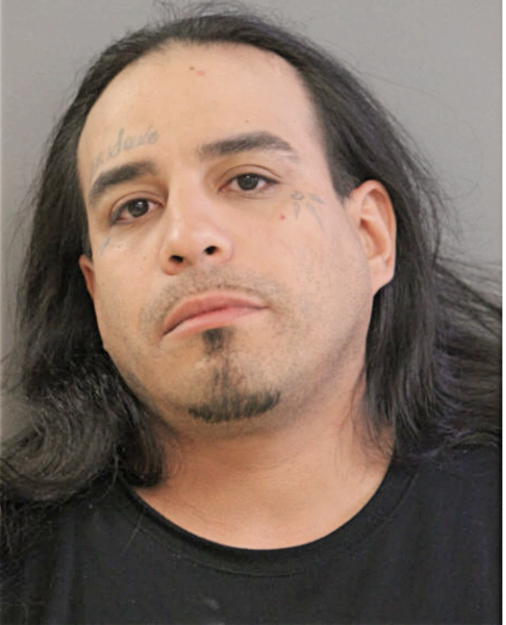 ERNESTO FLORES, Cook County, Illinois
