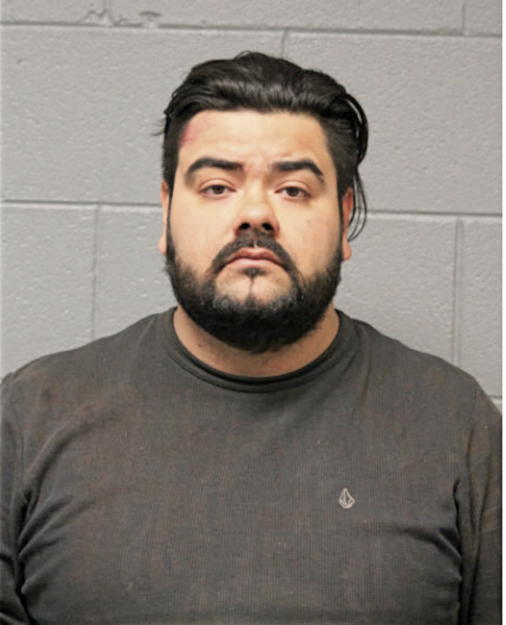 CHRISTIAN D GARDUNO, Cook County, Illinois