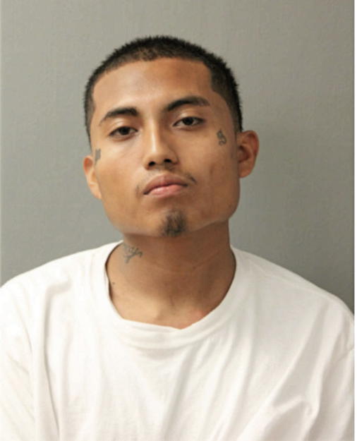 DAVID GONZALEZ, Cook County, Illinois