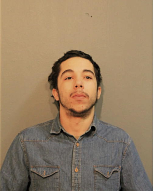 MARTIN D HOWARD-PAEZ, Cook County, Illinois