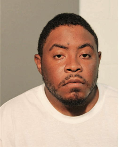 MICHAEL A JOHNSON, Cook County, Illinois