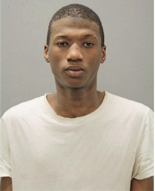 ANDRE E LANG, Cook County, Illinois