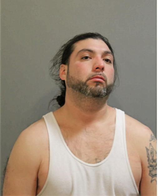 MARTINE MANZANALES, Cook County, Illinois