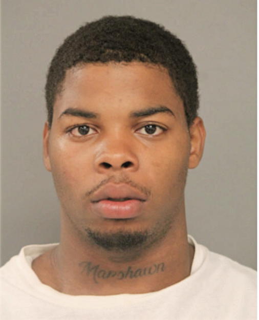 MATTHEW J MASSEY, Cook County, Illinois