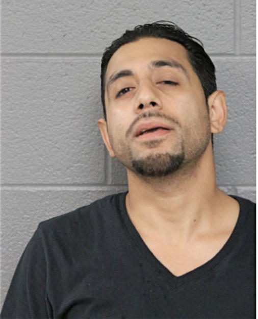 VICTOR H MIRELES ANDRADE, Cook County, Illinois