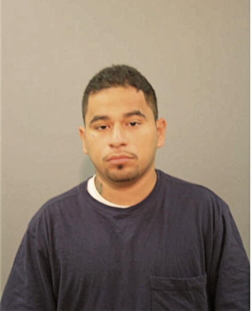SAUL I OCAMPO, Cook County, Illinois