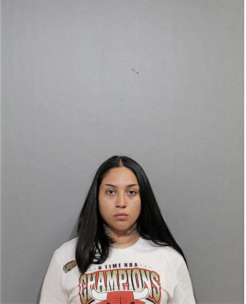 BEATRIZ K PINA, Cook County, Illinois