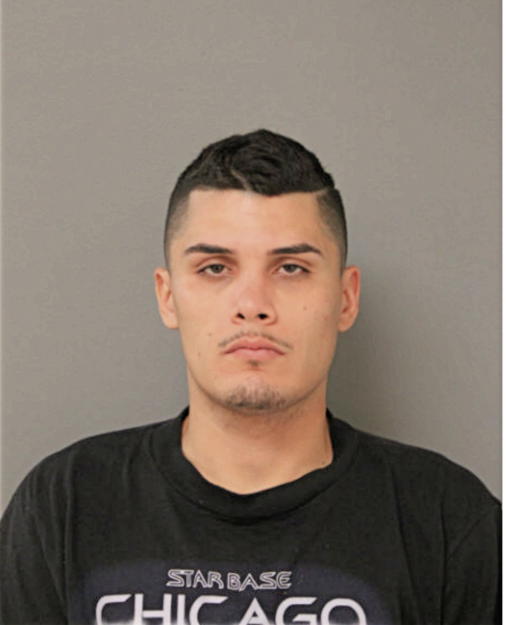 ALEX J RAYMUNDO, Cook County, Illinois