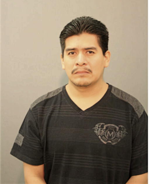 ISMAEL ROMAN-MARTINEZ, Cook County, Illinois