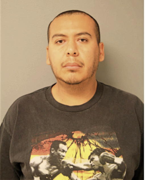 JUAN RUIZ, Cook County, Illinois
