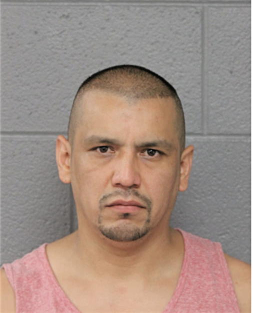 VICTOR SALAS, Cook County, Illinois