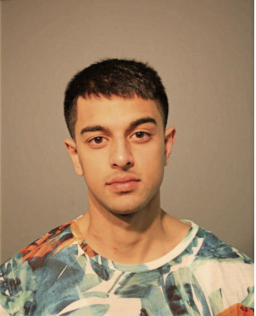 SHAWN S SANGHERA, Cook County, Illinois
