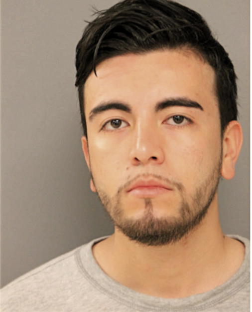 JOSE A VARGAS-CASTANEDA, Cook County, Illinois