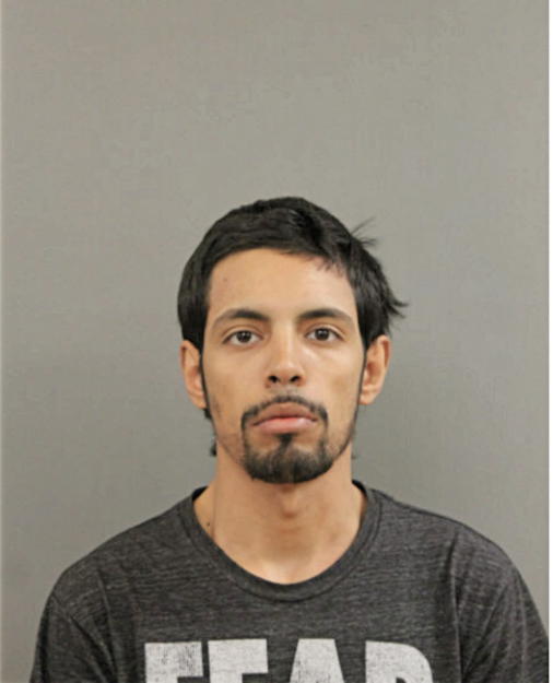 MICHAEL JOEL AVILES, Cook County, Illinois